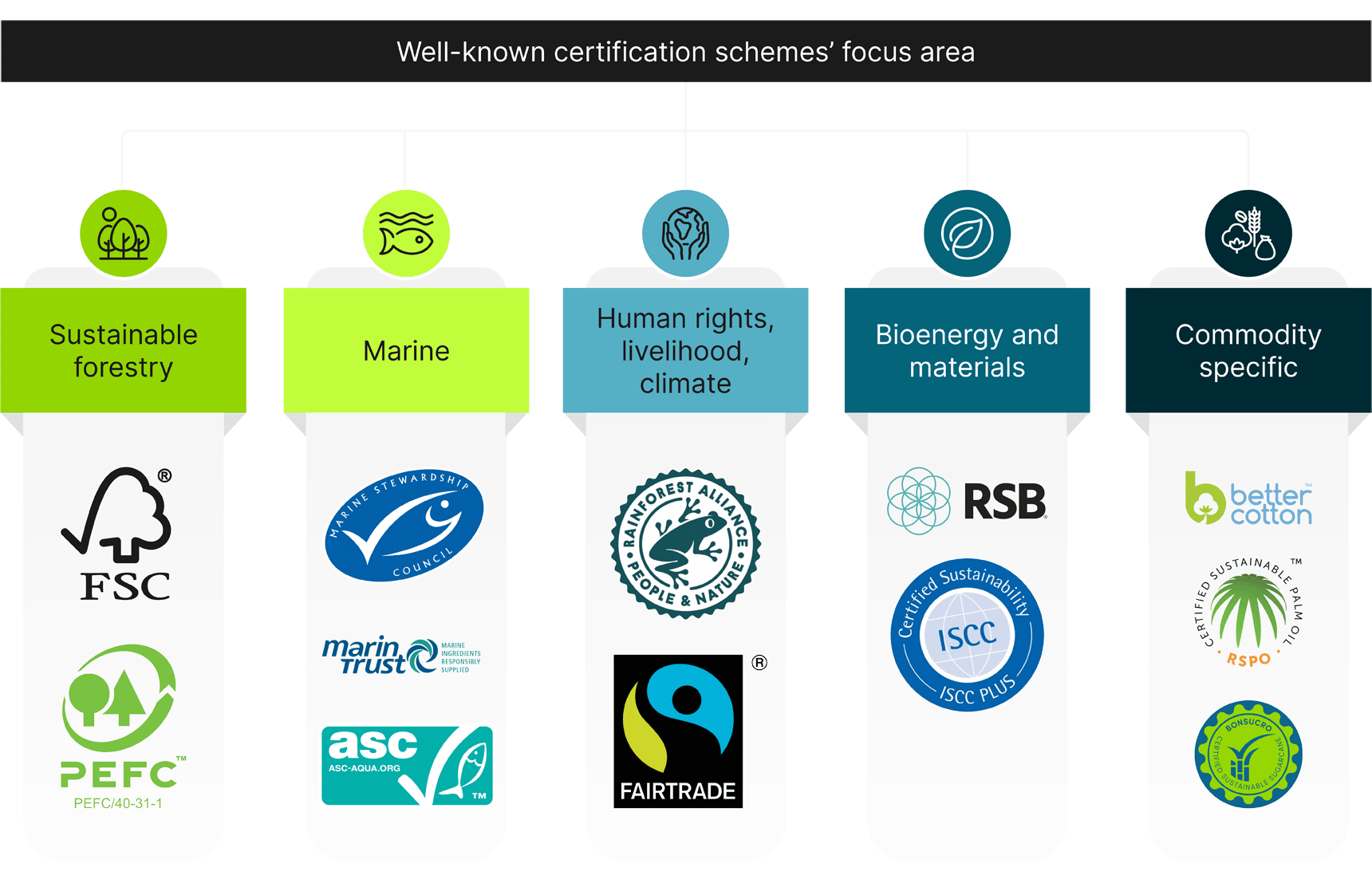 Examples of well-known sustainability certification schemes with applicability to NbS 